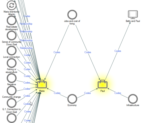 Cases (NVivo 14 Windows)
