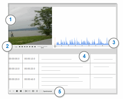 Video file with media and transcript.