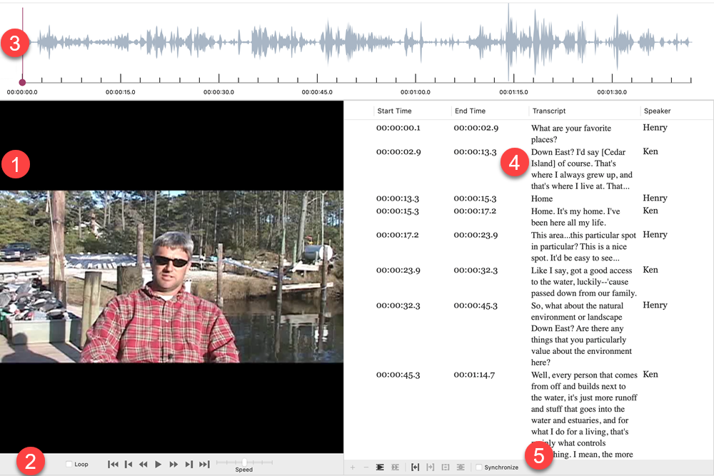 Media player controls