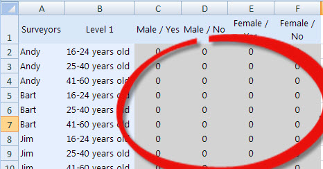 Quota_Excel_Editing.jpg