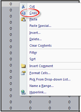 Quota_Copy_Excel.jpg